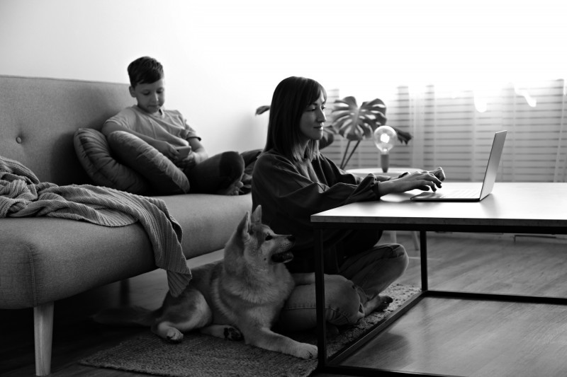 Sir Walter Scott Ivanhoe and his freelancers.